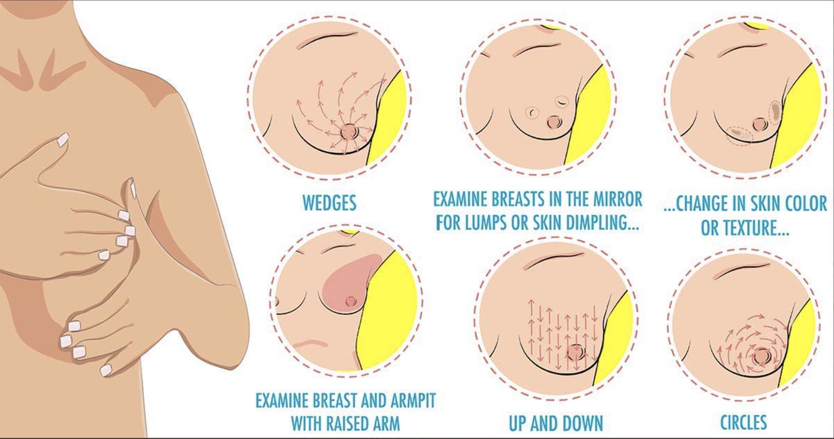 It's a new month, so don't forget to #CheckYourBreasts today! See the graphic below from @BreastAdvocate for a refresher course on how to do so. #EarlyPrevention #FeelOnTheFirst