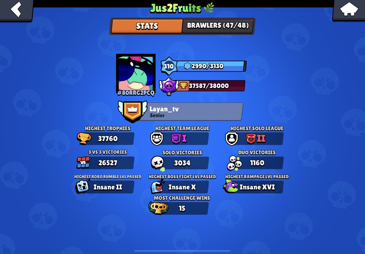 Power League Dogs (@dograndoms) on Twitter photo 