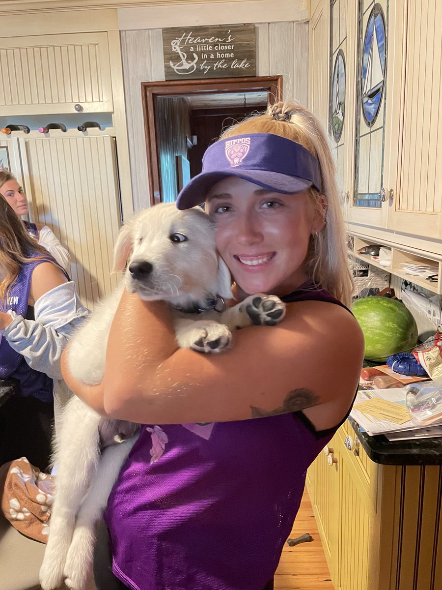 Yogi bear is ready for the dub 💜 @Hiphoes