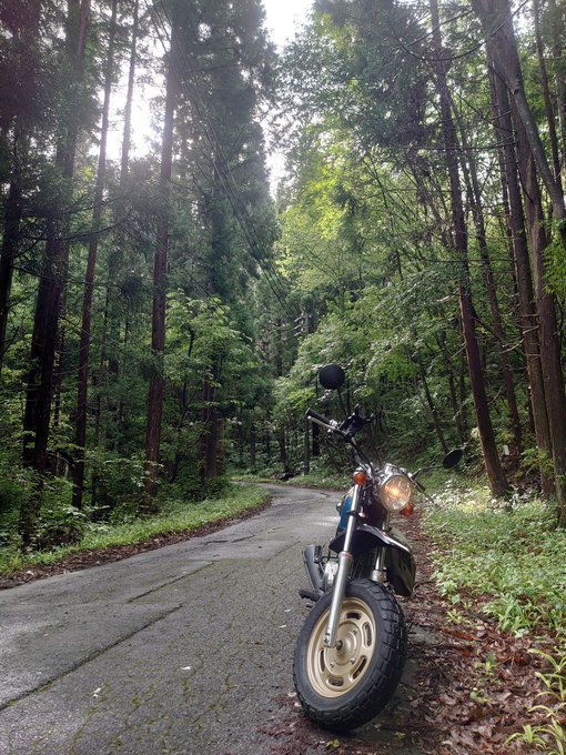 ﾘｼﾖｳ さん の最近のツイート 1 Whotwi グラフィカルtwitter分析