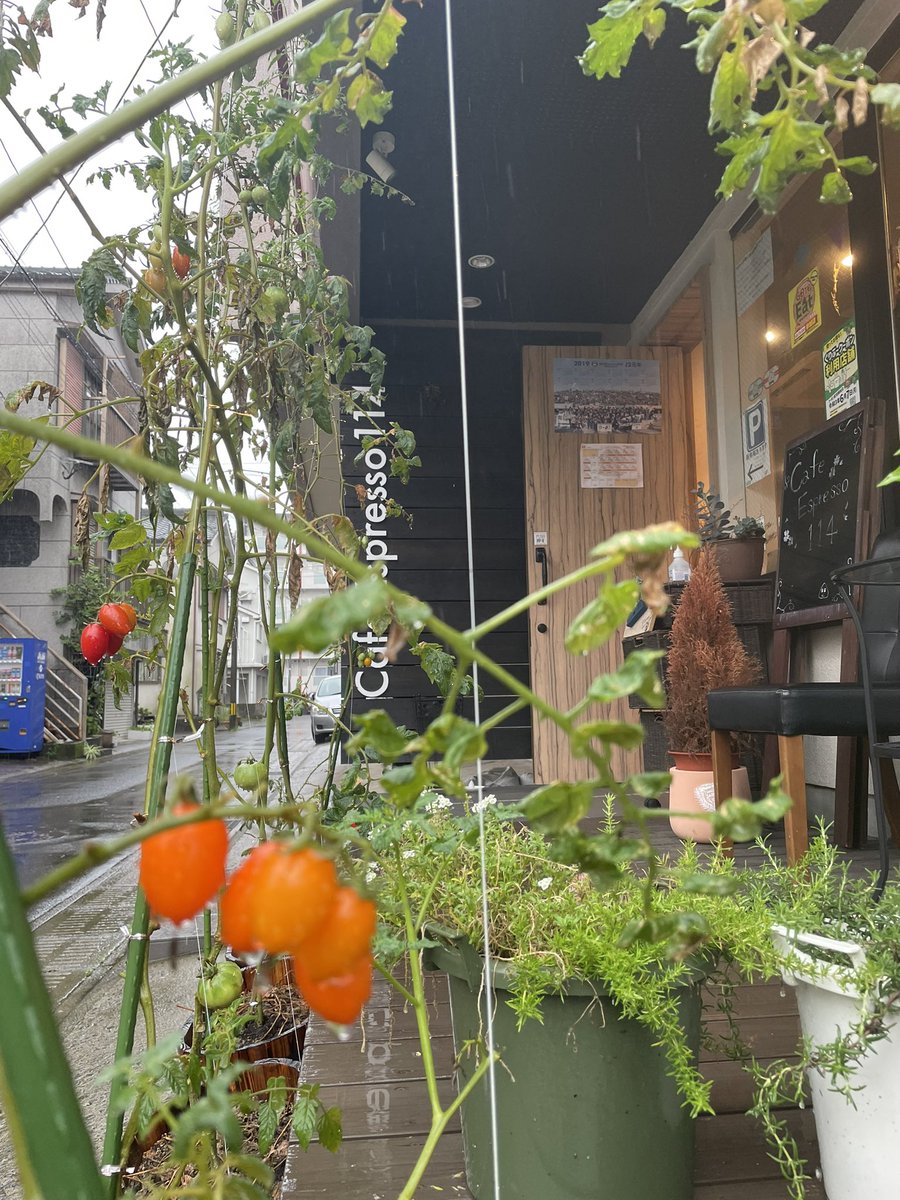 Cafe Espresso 114 onlineshop (@CE_114online) / Posts / X