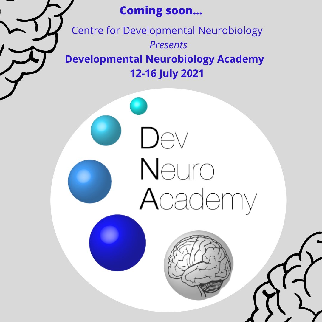 CDN | King's College (@dev_neuro) on Twitter photo Coming soon from <a href="/dev_neuro/">CDN | King's College</a>...
#devneuroacademy2021, 12-16 of July.
#kingscollegelondon #ioppn #wideningparticipation #neuroscience Coming soon from <a href="/dev_neuro/">CDN | King's College</a>...
#devneuroacademy2021, 12-16 of July.
#kingscollegelondon #ioppn #wideningparticipation #neuroscience