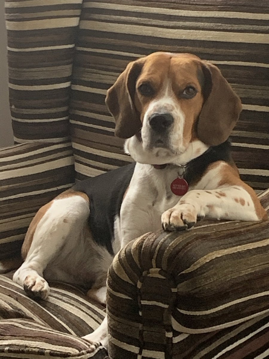 Anybody asking for my HiC long crosslinked metagenome?
<a href="/PhaseGenomics/">Phase Genomics</a> <a href="/ivanliachko/">Ivan Liachko 🇺🇦 @ivanliachko.bsky.social</a> <a href="/BenAuch/">Ben Auch</a> <a href="/anna_cusco/">Anna Cuscó</a>