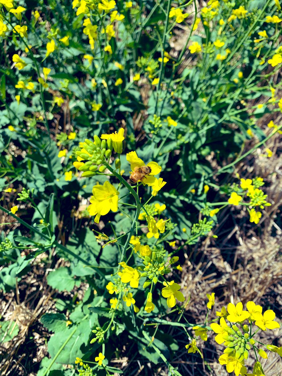 Courtney Meduna tweet media