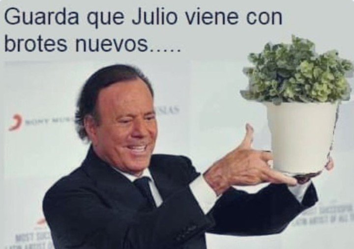 Wikimedia Chile على X: "Llegó #Julio y con él los #memes 👀 ¿Sabías que las  visitas al artículo de Julio Iglesias en @eswikipedia suben al doble al  empezar este mes? ¿Será por