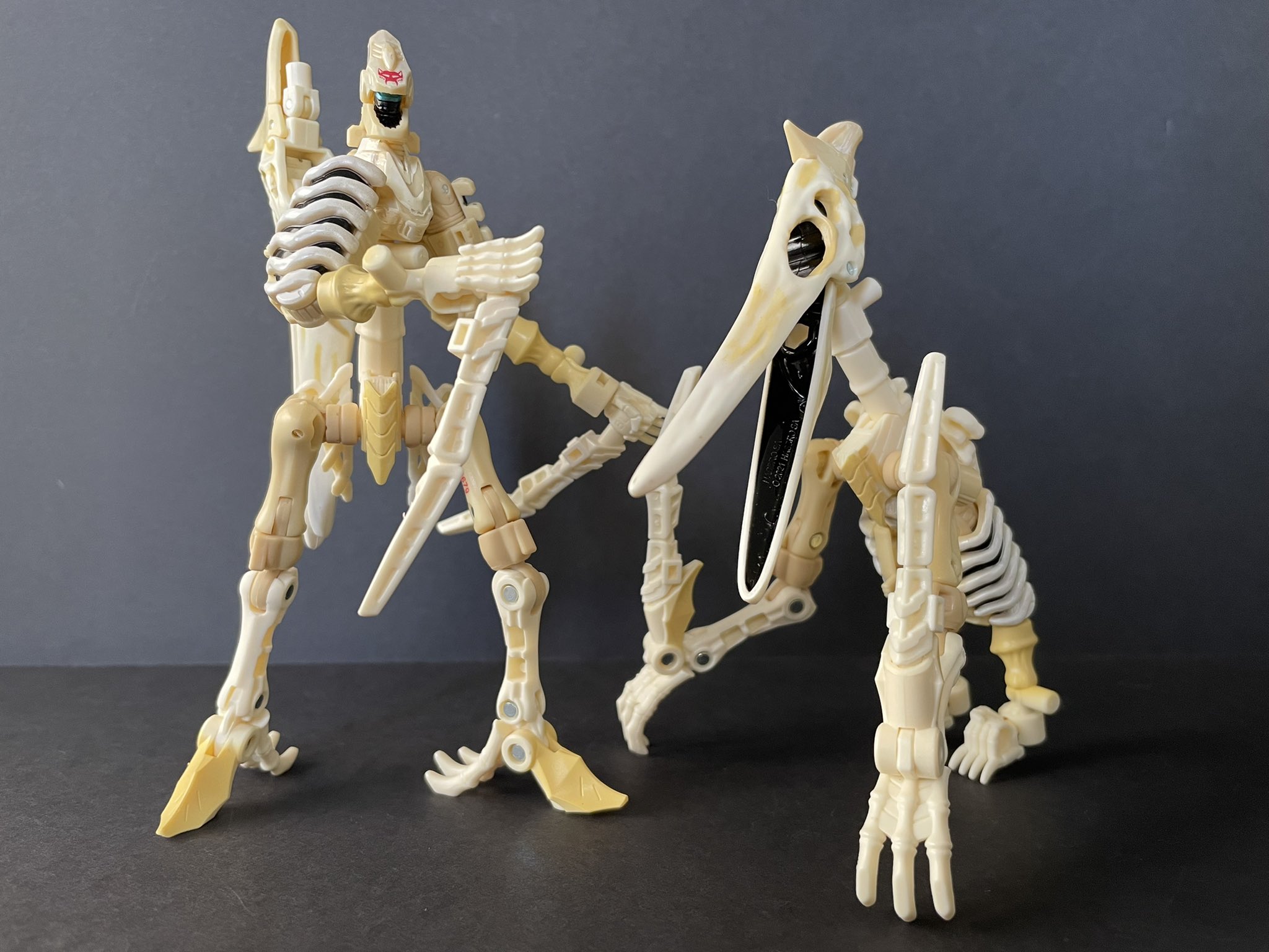 paleotrex ractonite combinations