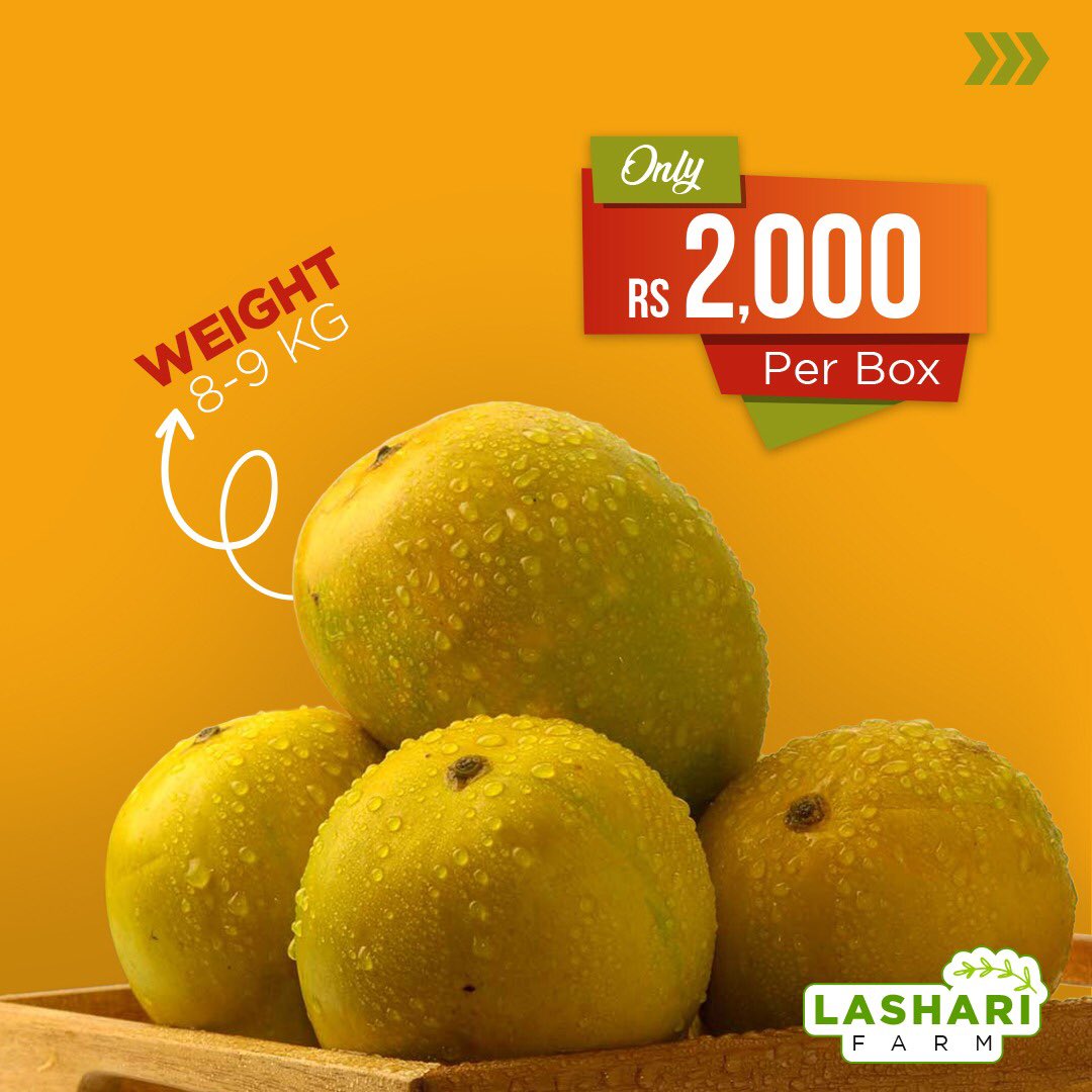 FareedAfzal344's tweet photo. The time has come! Chaunsas are ready to be plucked. Order your box, start counting the days and get ready to devour the sweetest treat of this season.
Free Home Delivery all over Lahore.
#Lasharifarm #mango #MultaniMango @aliktareen https://t.co/k10E0OQoUS