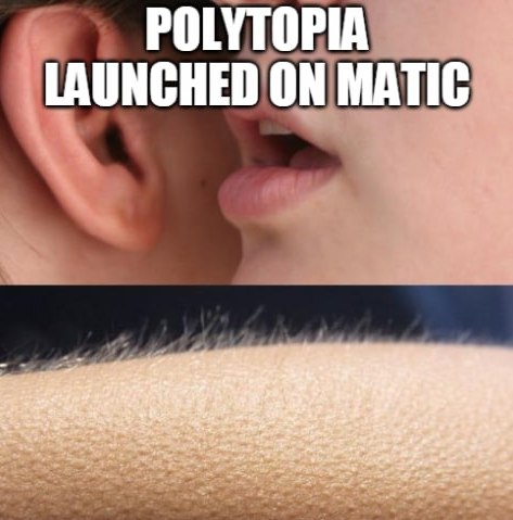 ecocryptopia's tweet photo. @CompBrosCrypto @PolyTopiaCrypto https://t.co/6J2mHfYay6