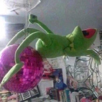 BellaTrulymadly's tweet photo. Harry Styles on shuffle be like:

Fine Line:                    Kiwi: https://t.co/x0nXOYGpJe