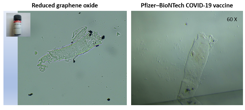 (11/13) Results of optical microscopy (Olympus CX43):