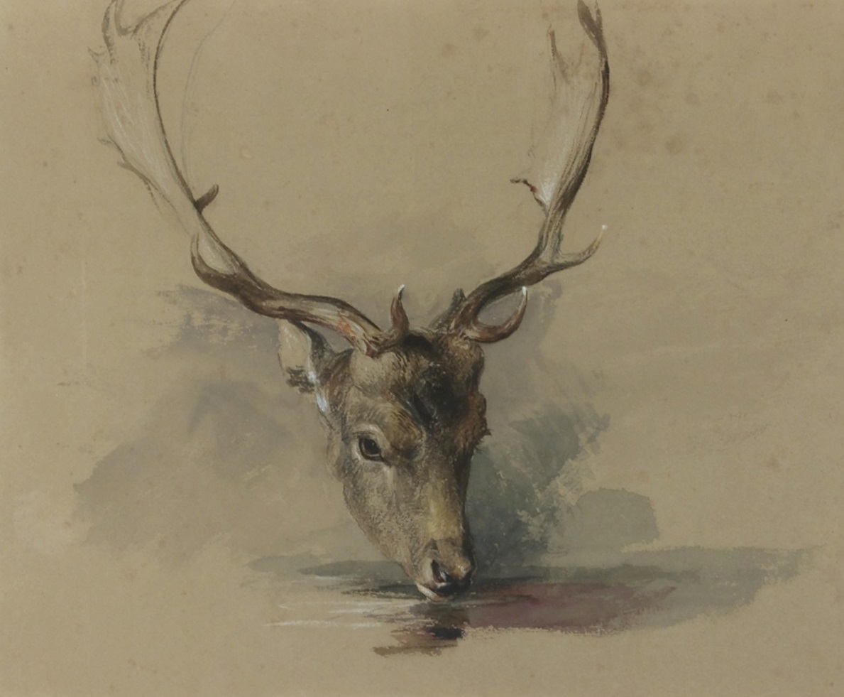 We're so thrilled our Wildlife Photographer of the Year exhibition on loan from <a href="/NHM_London/">Natural History Museum</a> is now open! For this week's #CollectionsFromTheCollection we're sharing this lovely watercolour study by De Wint. He was influenced by Lincs landscapes, &amp; no doubt the local wildlife too!