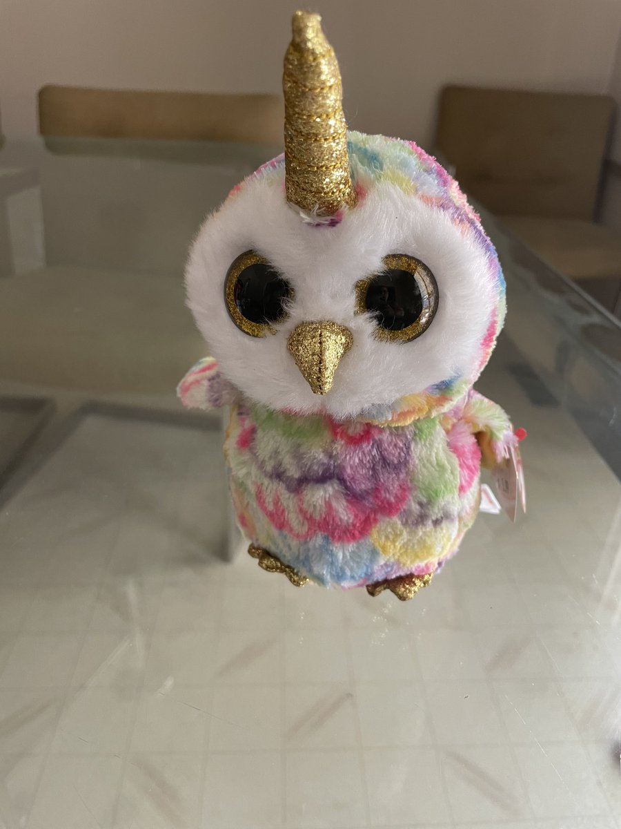 CandaceHavens's tweet photo. Anyone who knows me understands why this little guy, Enchanted, had to come home from the pharmacy with me. An owl who gets “magicked” with 🦄 sprinkles. I couldn’t pass up that backstory. #unicorns🦄 #owlsofinstagram #unicornsofinstagram #owls #magic #authorsofinstagram https://t.co/CdOB63QFBJ