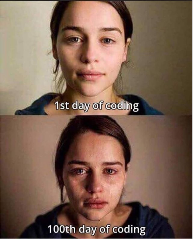 EnitaCode's tweet image. Only one day more... #100DaysOfCode