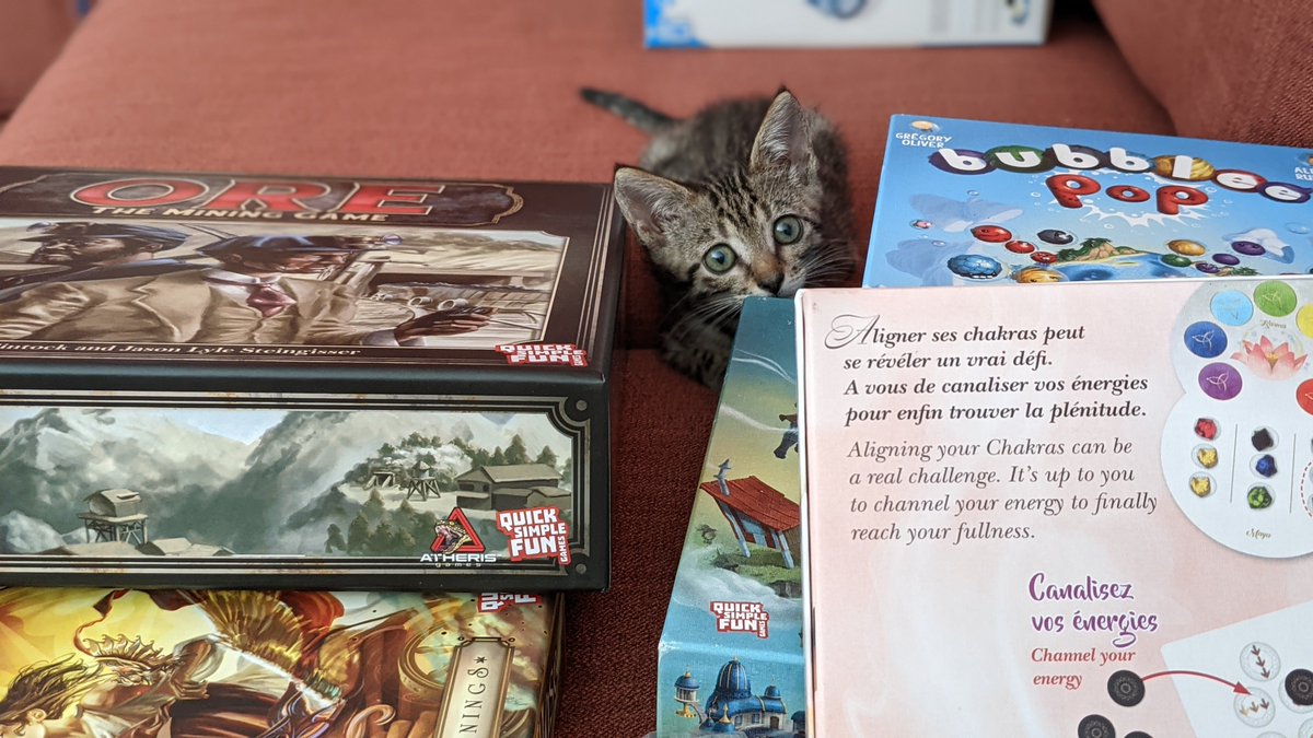 QSFGames's tweet photo. Hey there QSF Games fans! We are back from a long break and are ready to get back to the grindstone. We're ready to get more games published &amp; more fans interacting with our games. Just look at our current QSF Supervisor Foster Kitten, Saffron, making sure we're doing our job. https://t.co/qSsmxKw1hm