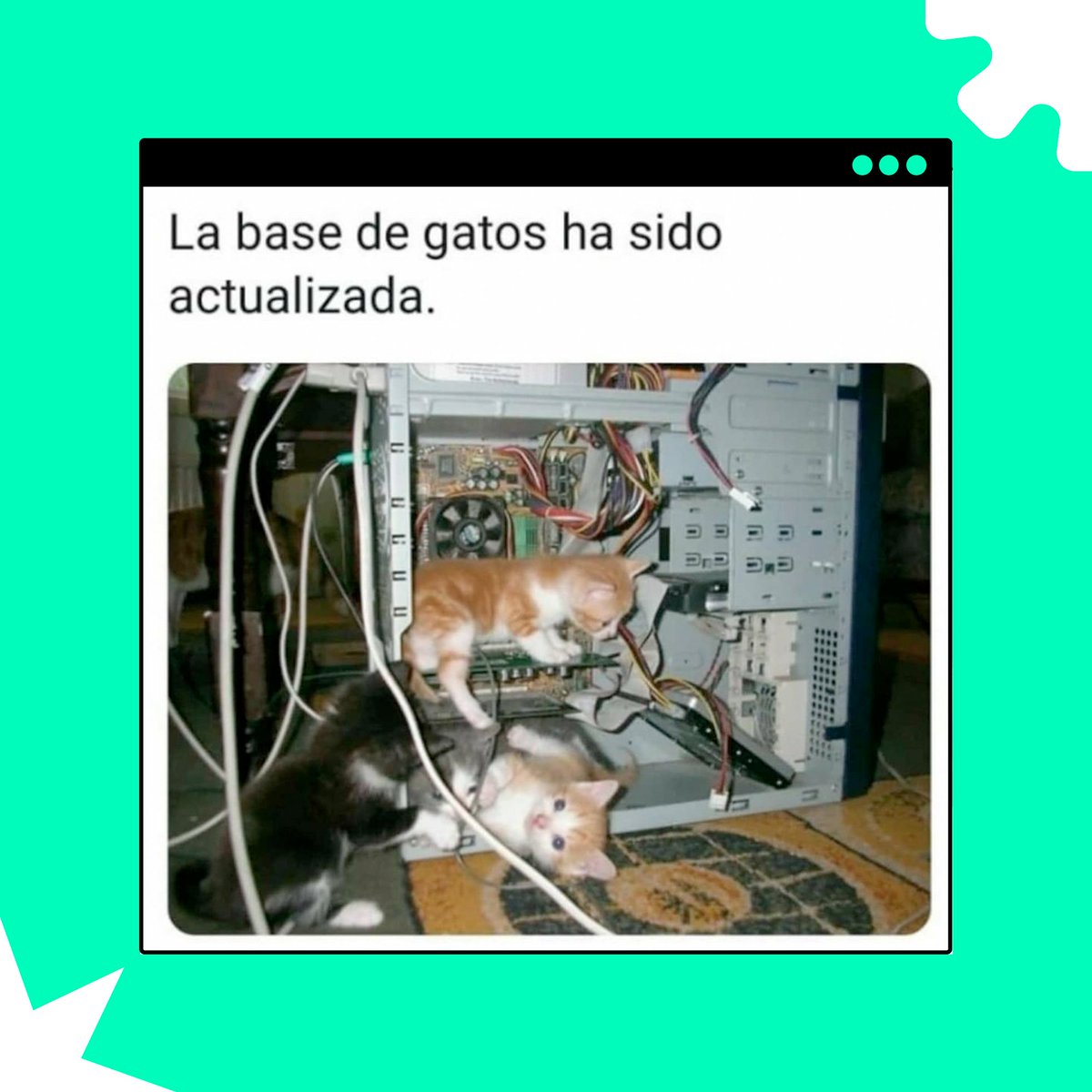 ITRockDigital's tweet photo. ¡Viernes de #memes! O cómo reírse de unx mismx en tres simples pasos 🤡
#worldofprogrammers #programmingjokes #programmers #programadores #backend https://t.co/pyKUFWbt3K