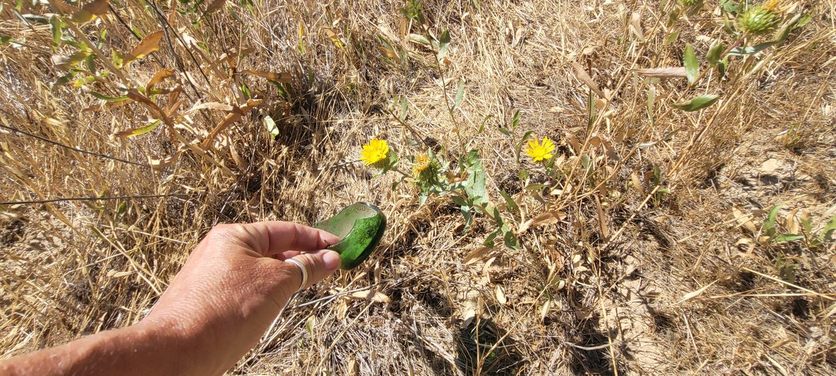 FlowervineMom's tweet photo. I pick up people's trash on my mountain runs, that's part of what I do on the mountain. Sharp glass could cause some serious damage. 👀
.
.
.
#backcountrypatrol #docent #mountainrunner #trailrunner #garbage #trash #mtdiablo #mountdiablo #notonmywatch https://t.co/0avLb6wXhN