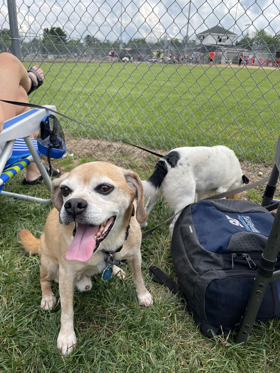 ChrisStelma tweet media