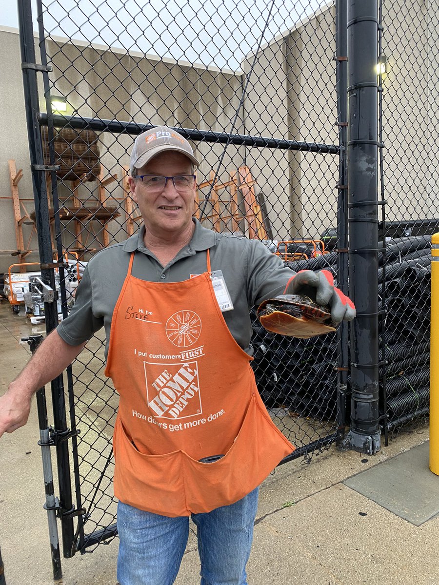 Heather_Tinker04 (@heathertinker04) on Twitter photo Lumber DH, Steve….”the turtle whisperer” saving this turtles life in his lumber cage! Steve taking safety of everybody around the store! #D71InItToWinIt #NEProud <a href="/AValkavitch/">Amy Lau</a> <a href="/8931HomeDepot/">Home Depot 8931</a> <a href="/NicoletteH17/">Nicolette Harris</a> Lumber DH, Steve….”the turtle whisperer” saving this turtles life in his lumber cage! Steve taking safety of everybody around the store! #D71InItToWinIt #NEProud <a href="/AValkavitch/">Amy Lau</a> <a href="/8931HomeDepot/">Home Depot 8931</a> <a href="/NicoletteH17/">Nicolette Harris</a>