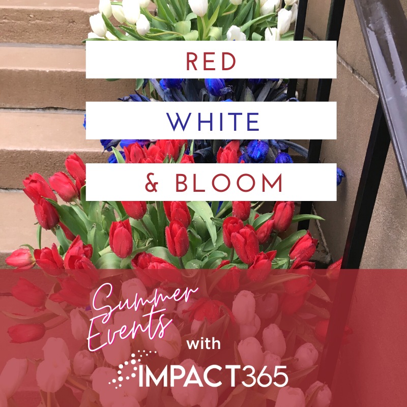 IMPACT365 tweet media