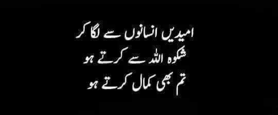 bilal_kennel's tweet photo. It's for all the students who are losing their hopes. Umeed Allah se rakhain ap kabhi mayoos nhi honge 💯💯💯💯💯💯💯💯
💯💯
#ImranKhanStudentsKiSunLo  #WewantpromotionStudents https://t.co/Q0VAIkdVq5