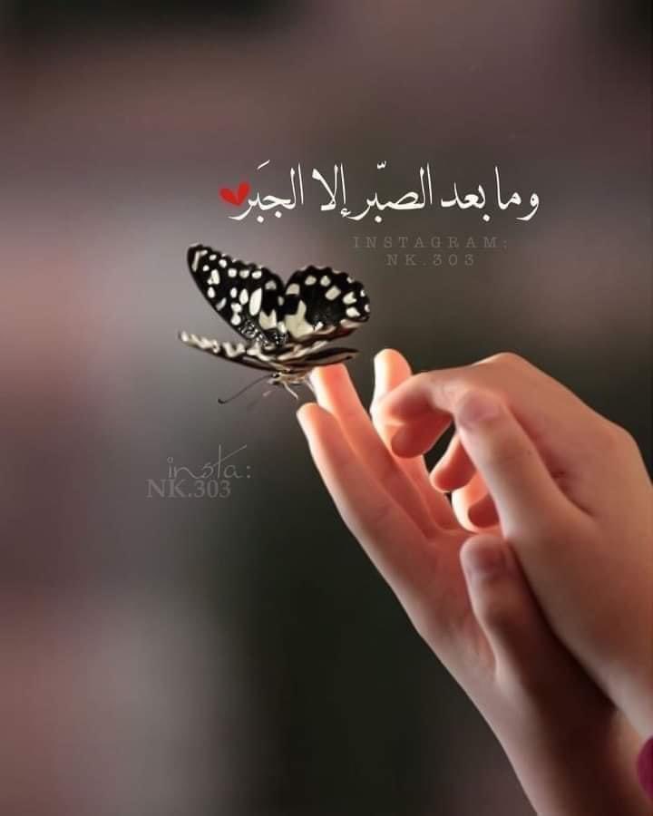 NOOR83274987's tweet photo. #عبدالامير_نجم_المياحي https://t.co/Uz2zG2UDCG