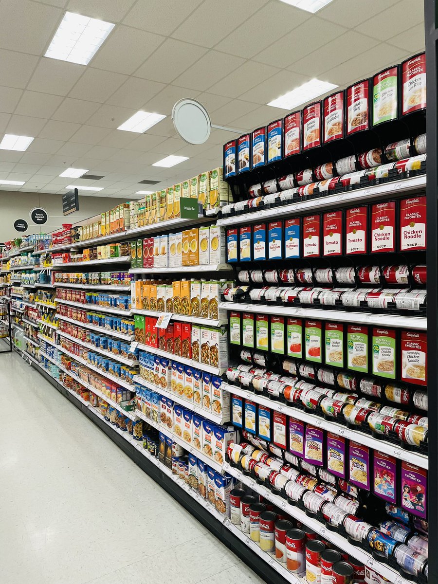 Taryn D'Aveta tweet media