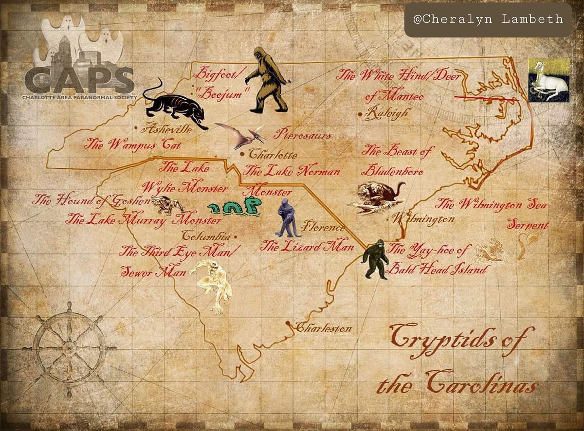 CAPSNC tweet picture