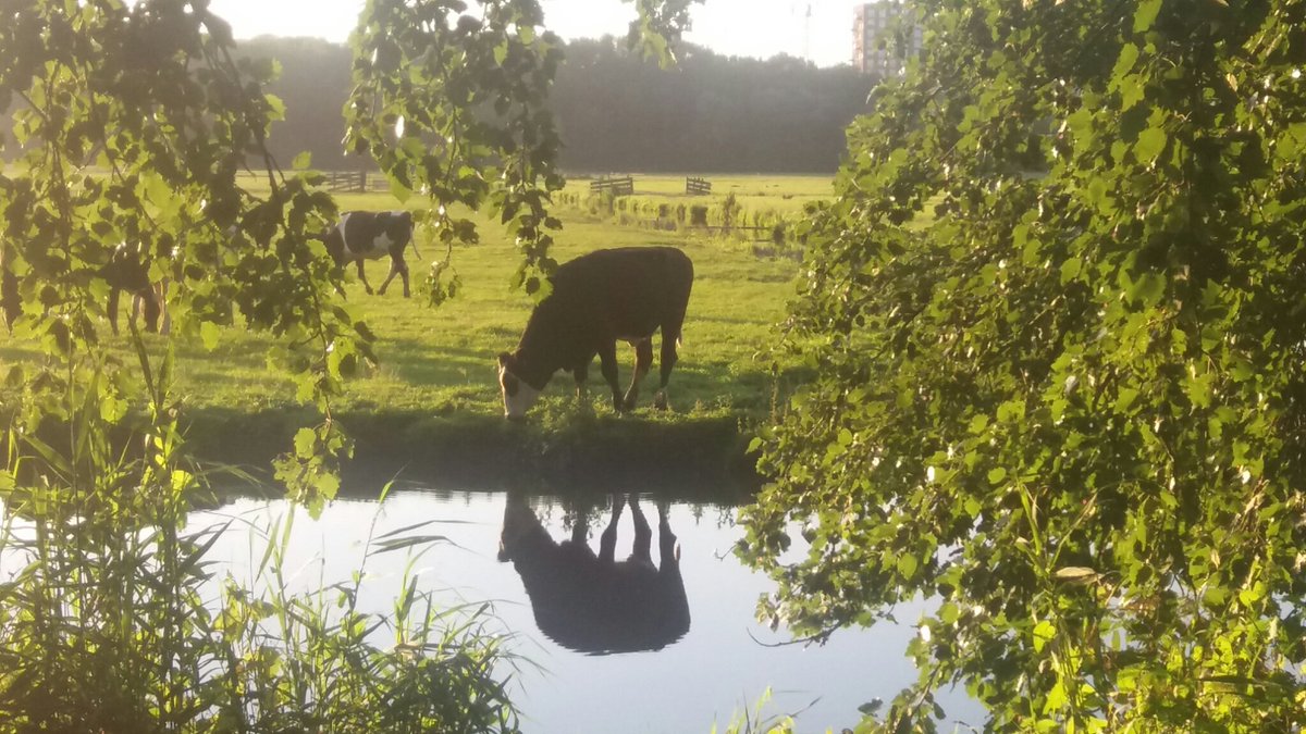 Heerlijk gegeten bij <a href="/detuinvandesmid/">de tuin van de smid</a> - echt een #aanrader; prachtige avond