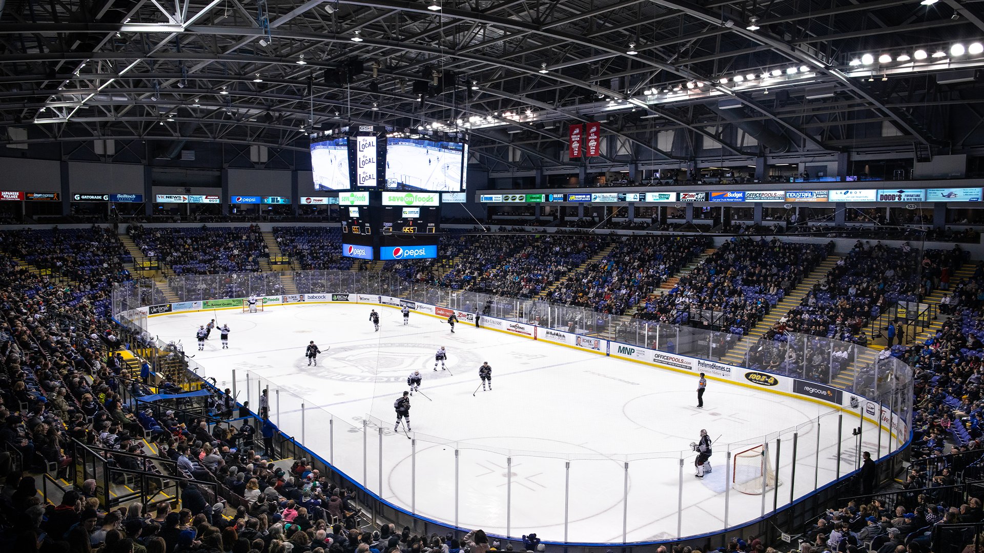 ROYALS PREPARE FOR PINK IN THE RINK THIS SATURDAY - Victoria Royals