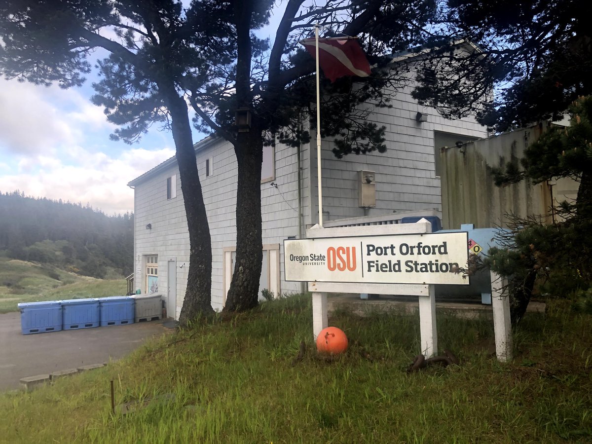 Reef Check tweet media