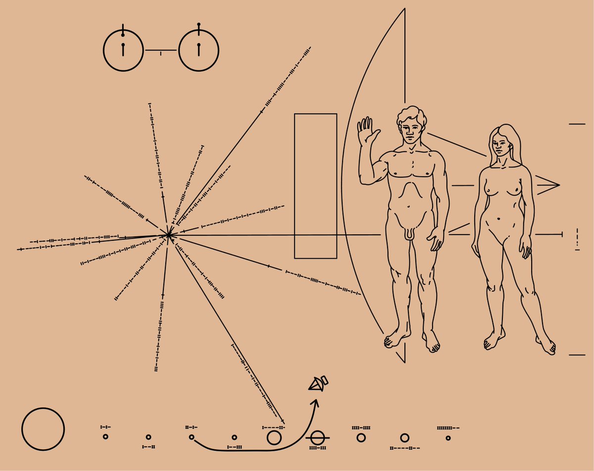 First alien message received

"Humans please stop sending us unsolicited nude pics with directions of how to come to your house. It is kind of creepy"