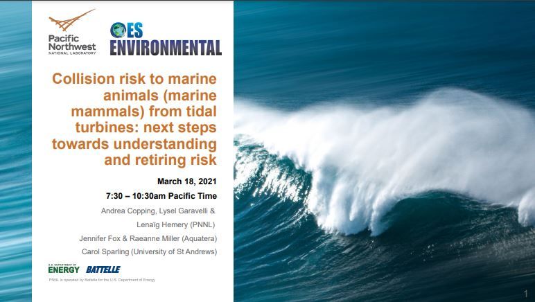 tethys_enviro's tweet photo. The workshop report &amp; recordings from the March 2021 OES-Environmental &amp; @OrjipOE two-day online workshop on understanding collision risk to #fish &amp; #marinemammals from #tidalturbines are now available:
Fish: https://t.co/QuomjpzT4C
Marine mammals: https://t.co/iTFalN0zDb https://t.co/MGRptLMEp7