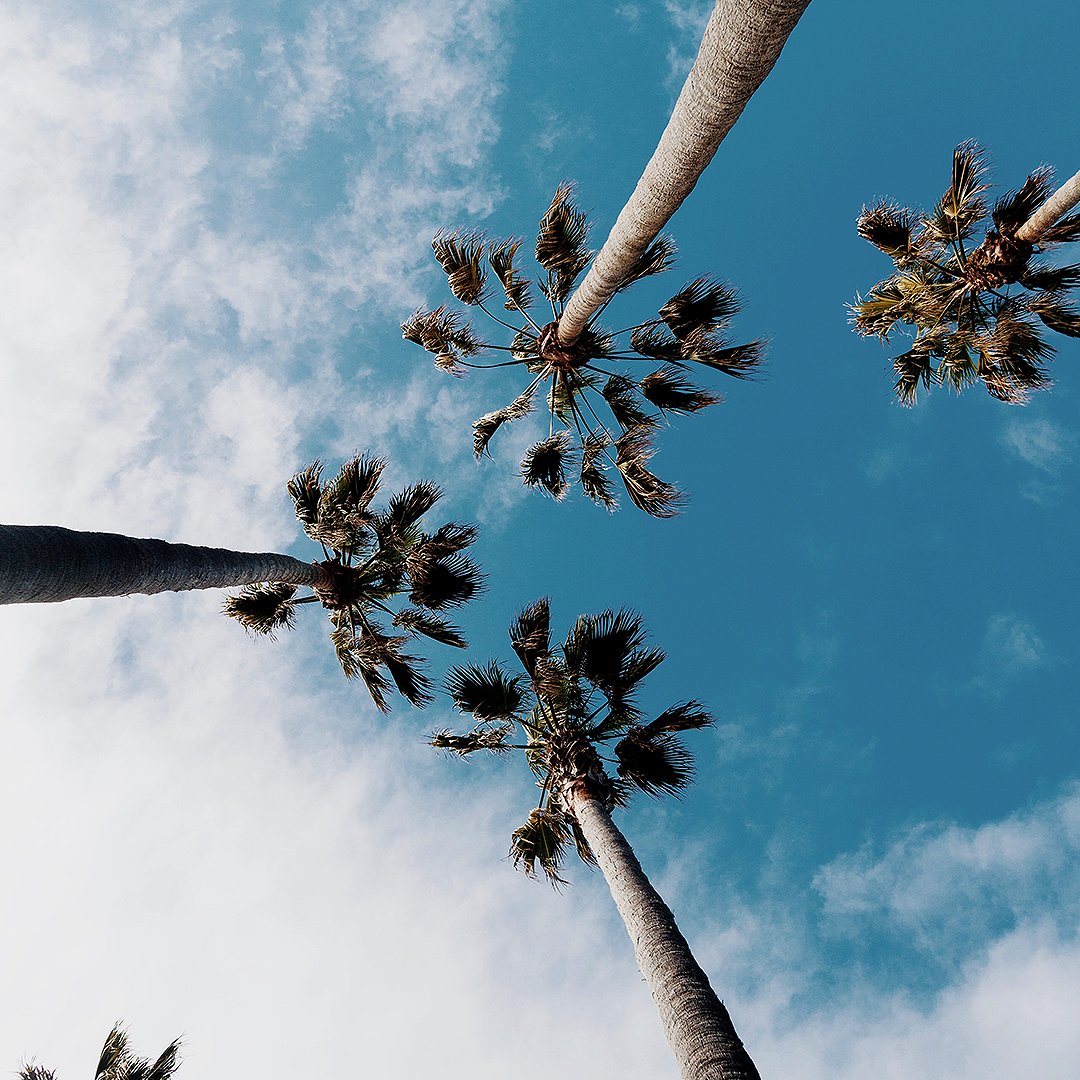 There's always a reason to look up. #ExperienceThePossibilities #WyndhamGrandRM #Celebrating25Years
.
.
.
.
#ExperienceRioMar #JustWhatYouNeed #PuertoRico #PuertoRicoHotels #DiscoverPuertoRico #BeautifulDestinations