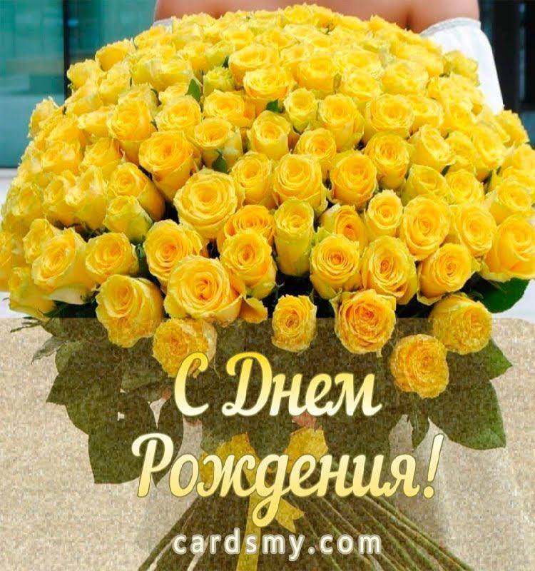 Olgа🌸🌿 tweet media