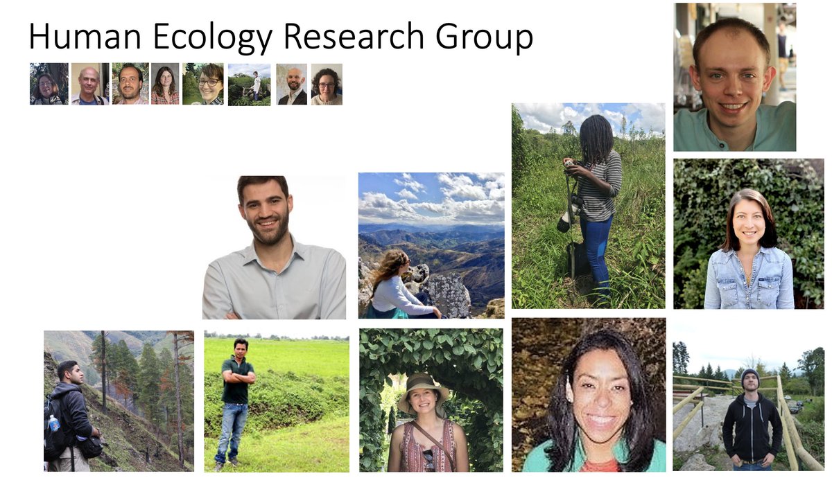 Katherine Homewood tweet media