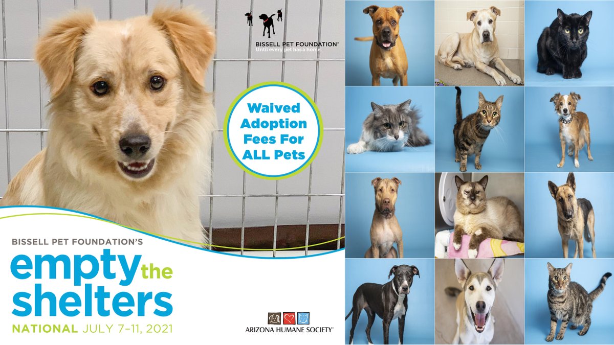 Arizona Humane Society Azhumane ØªÙˆÛŒÛŒØªØ±