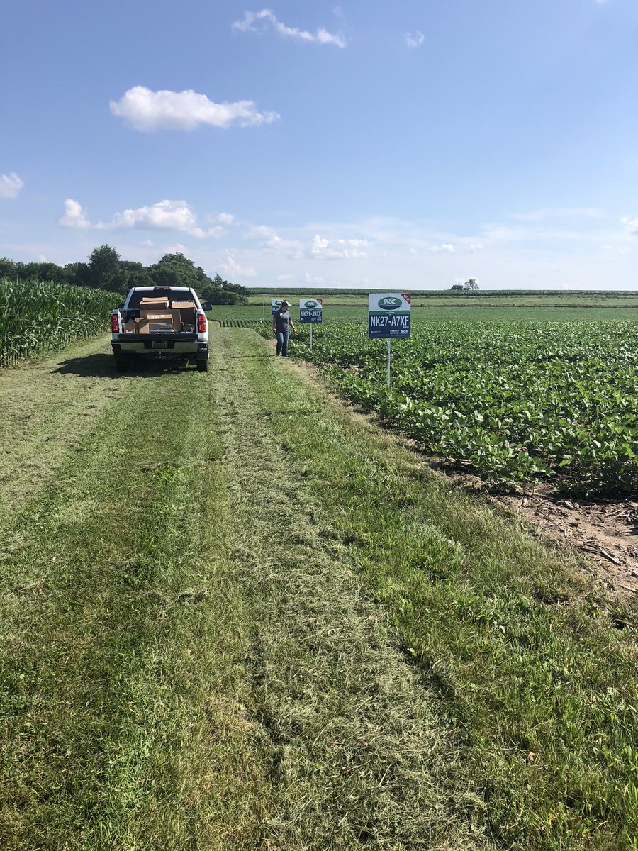 Always love getting pictures like this - <a href="/AgViewFS/">Ag View FS</a>’s Stetson soybean plot looking sharp w/ signage! Can’t wait to have field days there later this summer. Thanks Kayla &amp; Tim for your hard work and much appreciated support!! 🙌🏻 #growNK21 
📸: <a href="/tbennett2121/">Tim Bennett</a> <a href="/kbent211/">Kayla Allen</a>