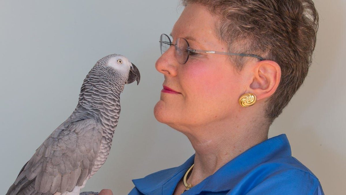 Best friends for sure! 

buff.ly/3jrXvai