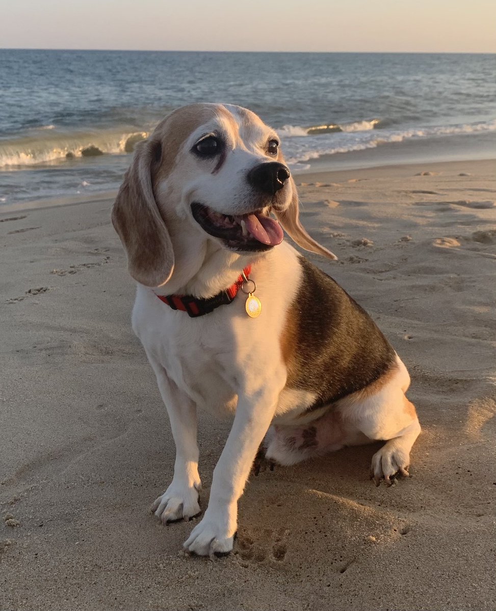 Welcome Mrs.  Gaddy to the Buck School, you are going to love being principal! There are so many great and wonderful humans there, it’s the best place to be! 💕🐾