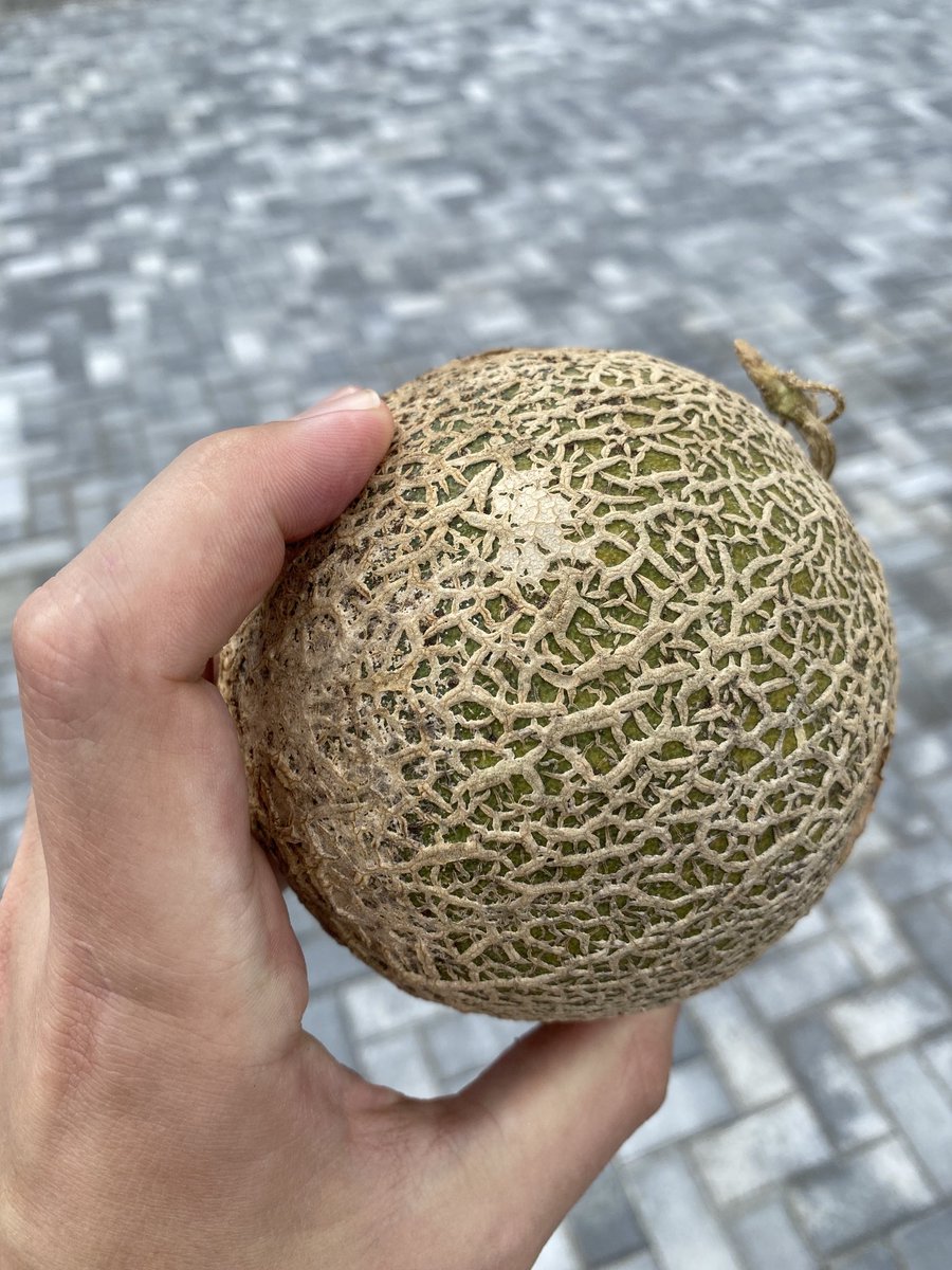 Alexis Ohanian 🗽 tweet media