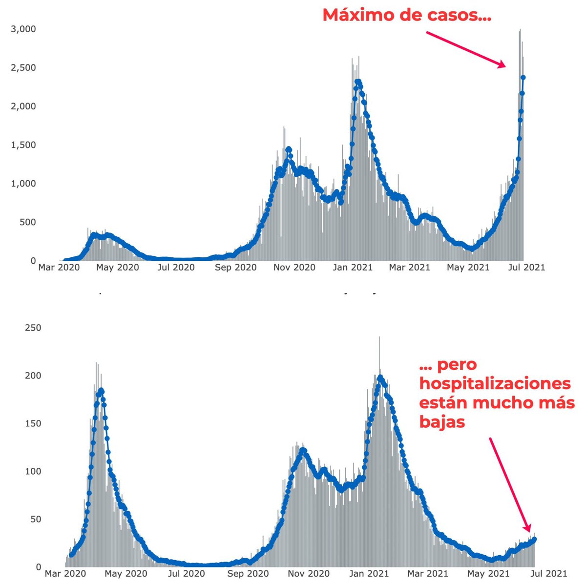 Principia Marsupia tweet media