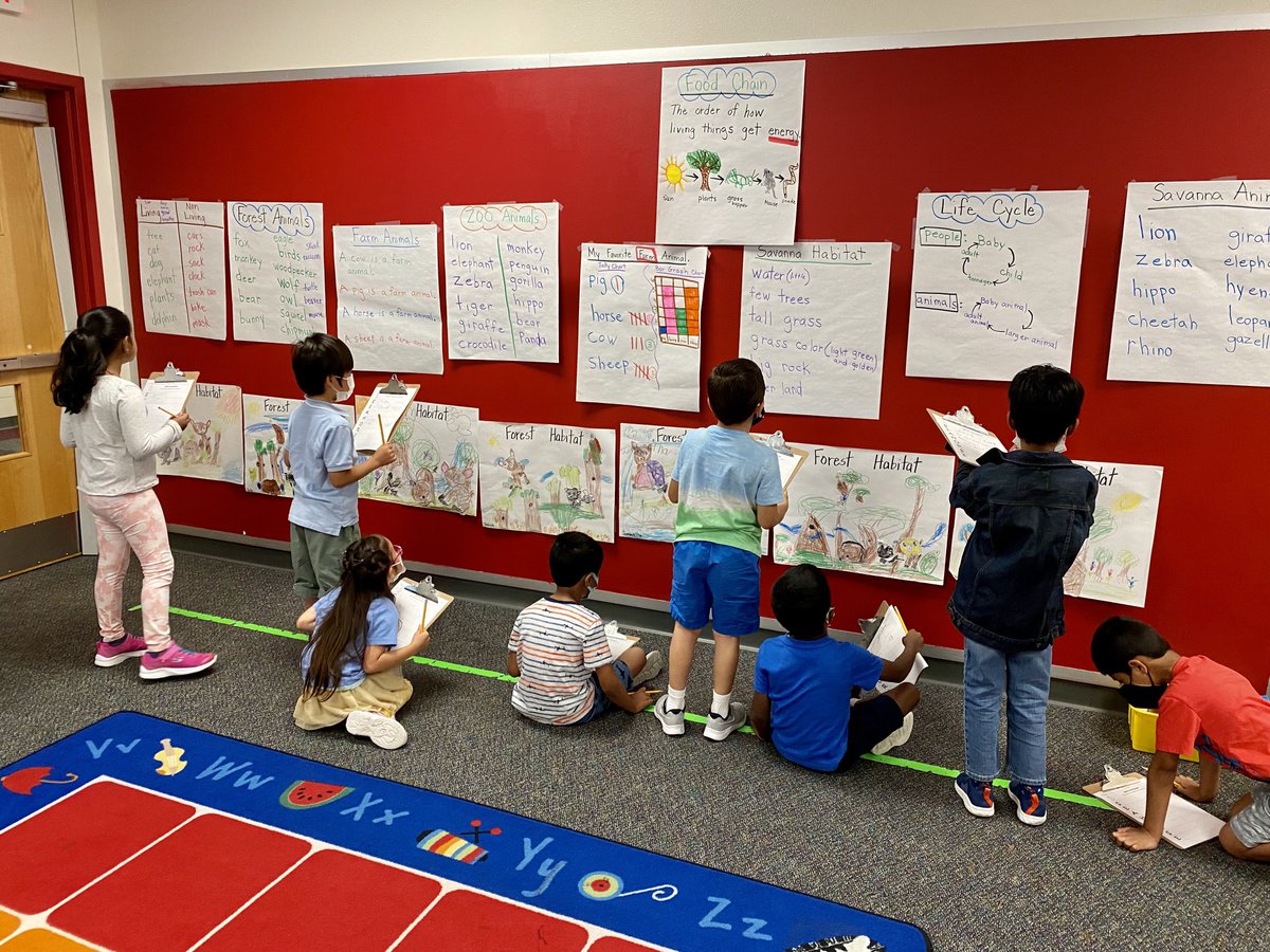 MrsMoffatt2's tweet photo. Summer school has come to an end. Always a favorite of mine to work with these little ones. It was a privilege to be some of their first “in person”teacher as many were virtual in kindergarten. #lepsummerschool https://t.co/q7BYfrk23b
