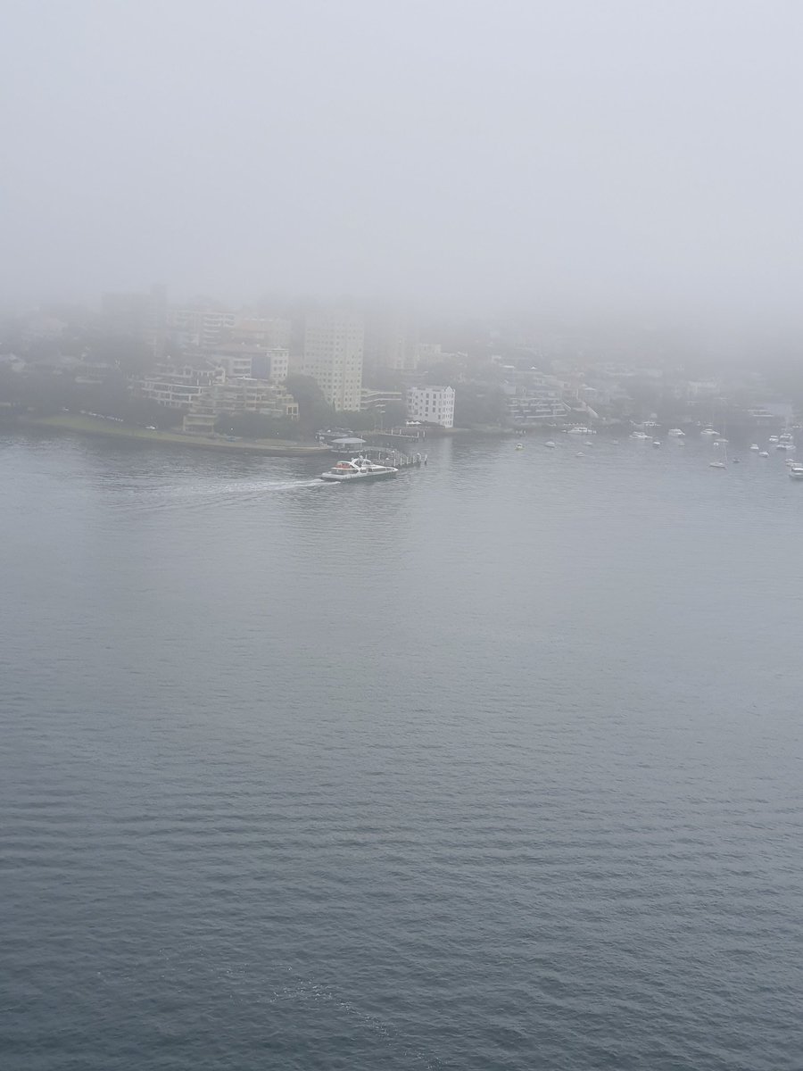 Running 18k in the fog love it