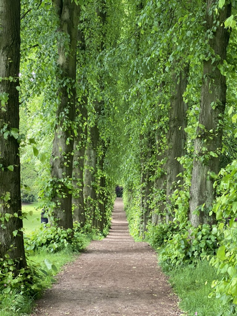 Bhavyang Acharya tweet media