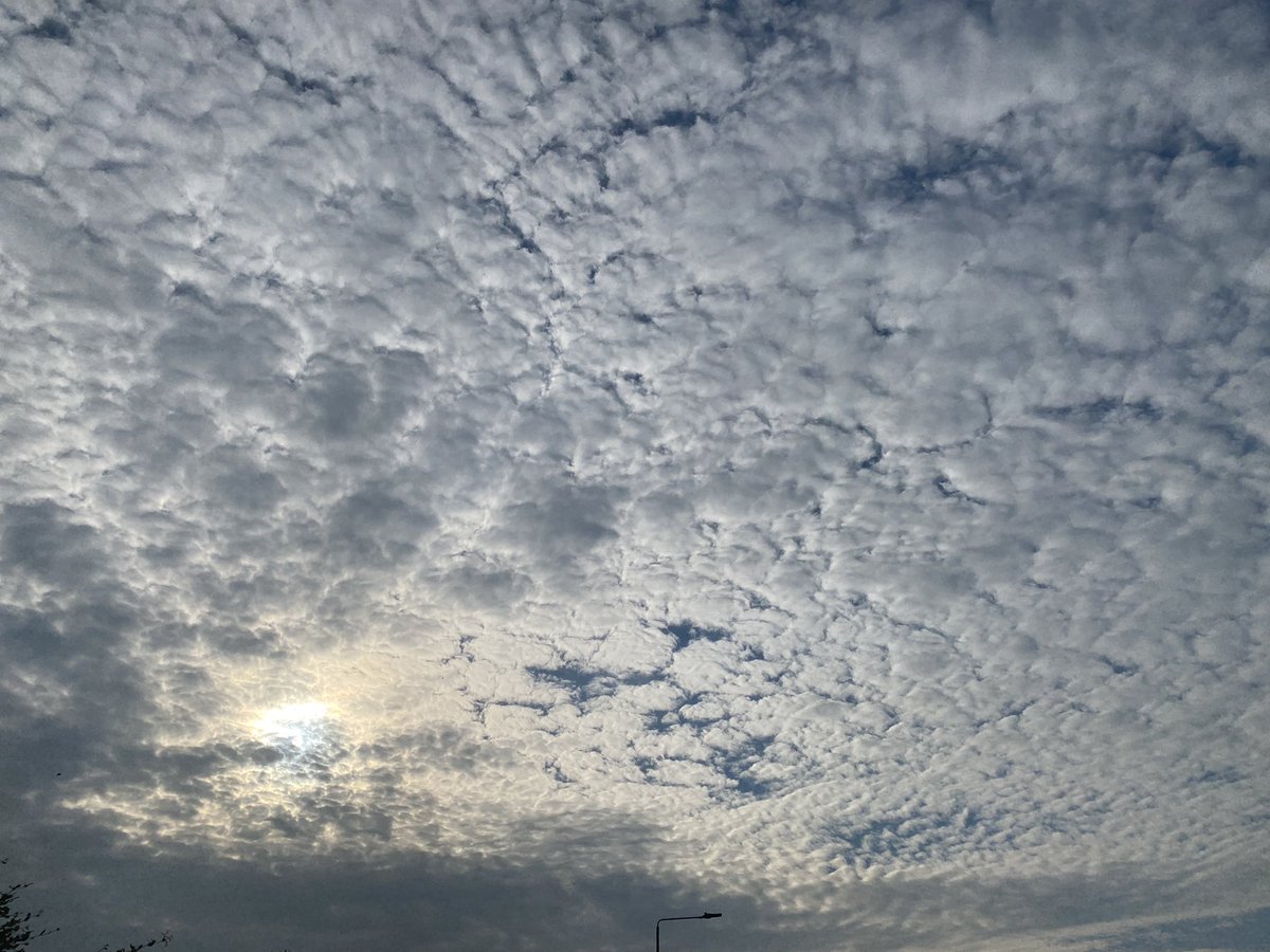 Bhavyang Acharya tweet media