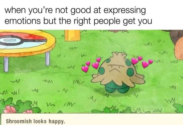 WholesomeMemes (@wholesomememe) on Twitter photo 