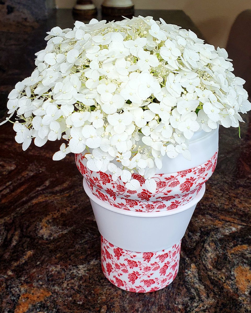 Silestial_LLC's tweet photo. Well they make cute flower pots too don't they? 😂

#coffeecups #reusablecup #plasticfreejuly #ditchplastic #choosetoreuse #doyourpart #loveyourplanet #climatechangeisreal #ecobusiness #gogreen #ditchdisposables #flowerpot #sustainability #ecofriendly #summer #travel https://t.co/6QLDTI2vce