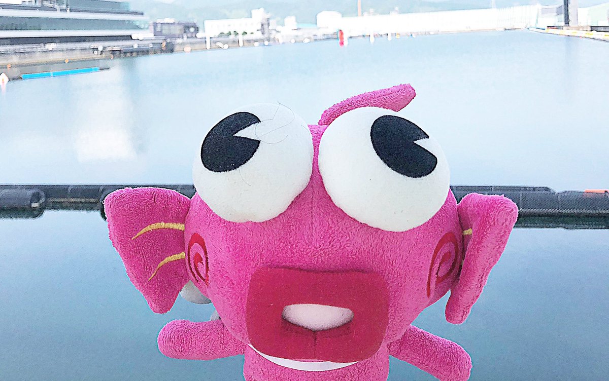 Boatrace鳴門 なるちゃん公式 Boatrace Naruto Twitter