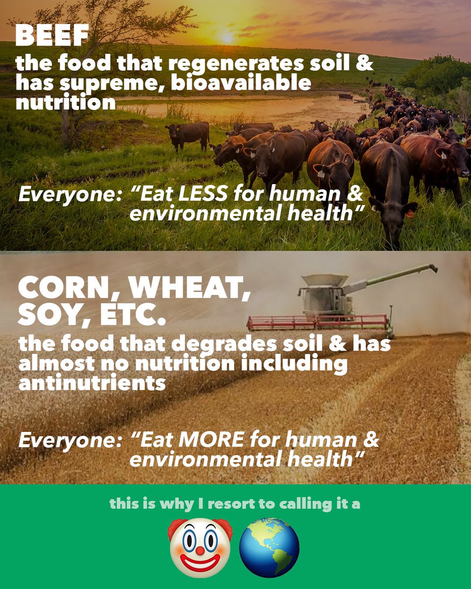 FoodLiesOrg's tweet photo. WHAT IF THE WORLD UNDERSTOOD THIS IRONY?

The current recommendations are so bad it’s almost like they’re meant to be https://t.co/15XmGrUbLn
