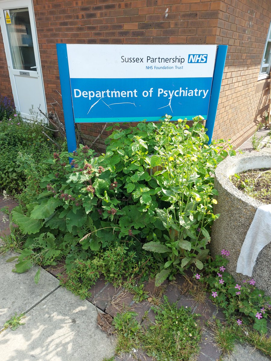 Last day of my rotation with the mental health team...Great four months #mentalhealth #clinicalpharmacist #healthcare